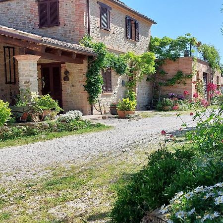 Casale San Martino Agriturismo Bio Sant'Angelo in Pontano ภายนอก รูปภาพ