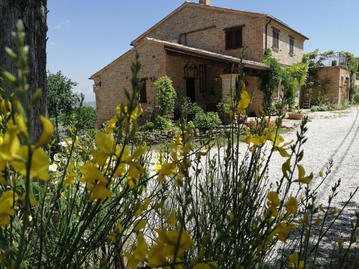 Casale San Martino Agriturismo Bio Sant'Angelo in Pontano ภายนอก รูปภาพ