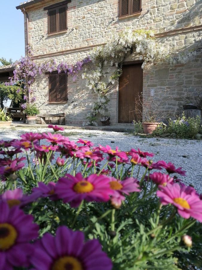 Casale San Martino Agriturismo Bio Sant'Angelo in Pontano ภายนอก รูปภาพ