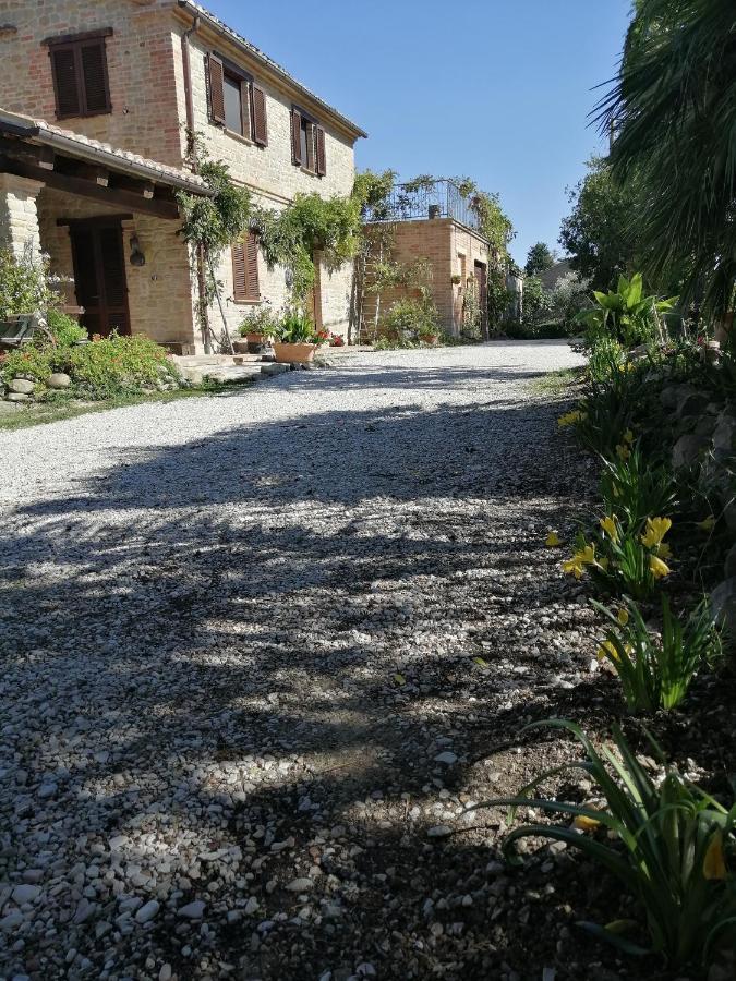 Casale San Martino Agriturismo Bio Sant'Angelo in Pontano ภายนอก รูปภาพ