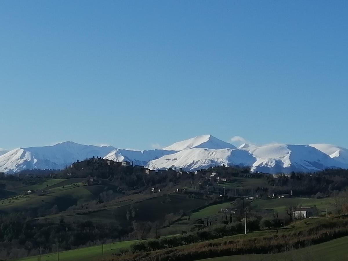 Casale San Martino Agriturismo Bio Sant'Angelo in Pontano ภายนอก รูปภาพ