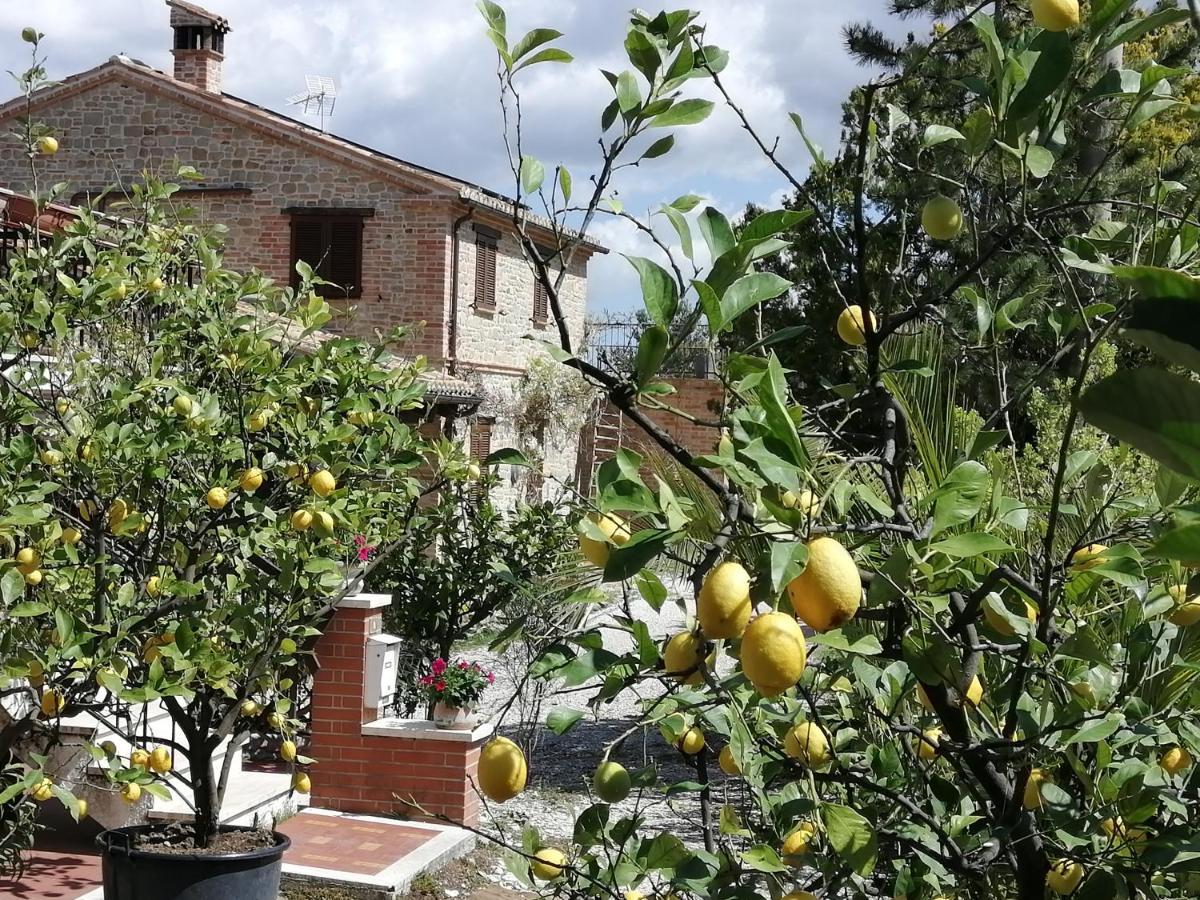 Casale San Martino Agriturismo Bio Sant'Angelo in Pontano ภายนอก รูปภาพ