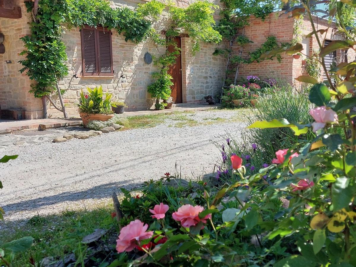 Casale San Martino Agriturismo Bio Sant'Angelo in Pontano ภายนอก รูปภาพ