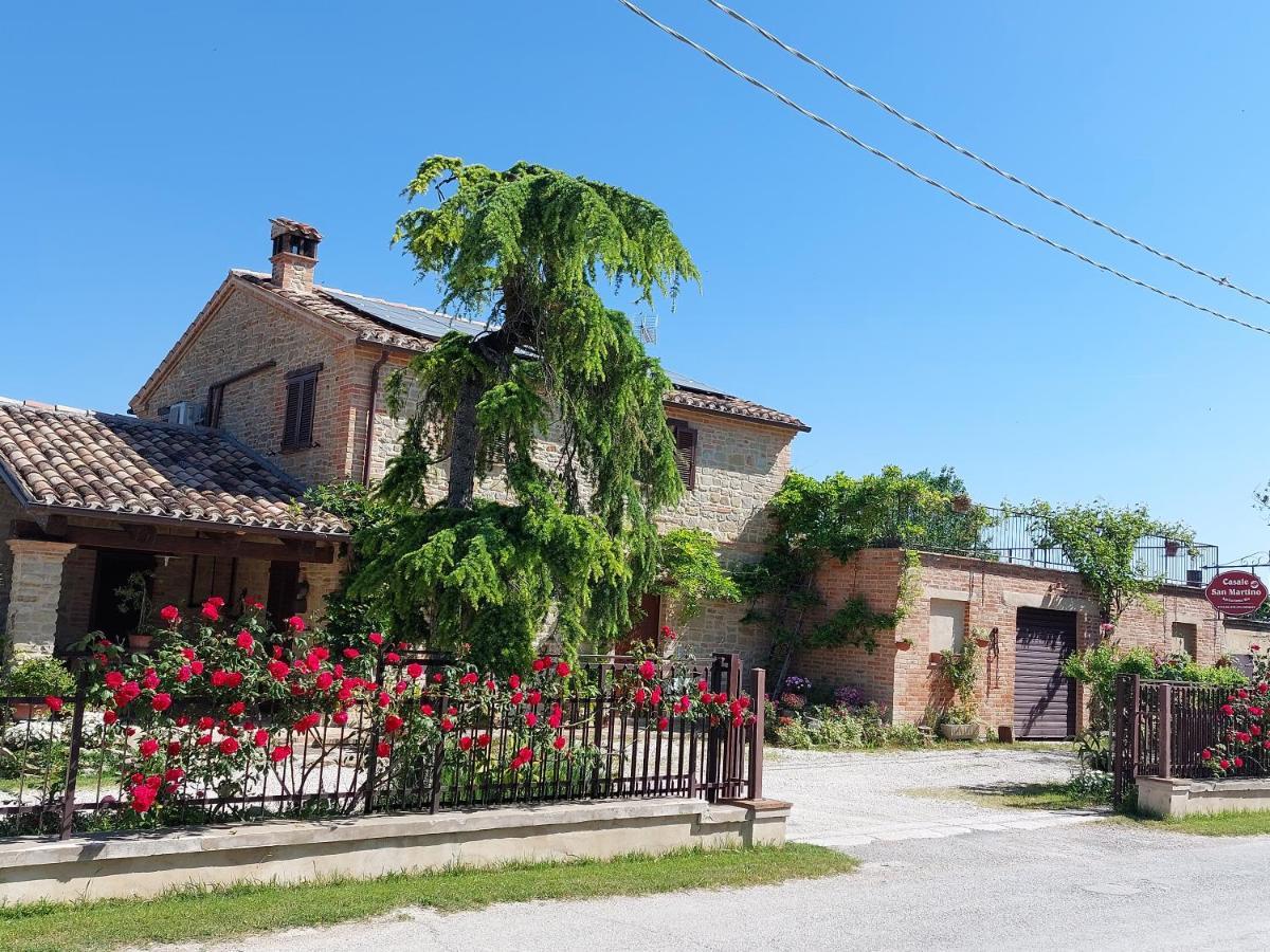 Casale San Martino Agriturismo Bio Sant'Angelo in Pontano ภายนอก รูปภาพ
