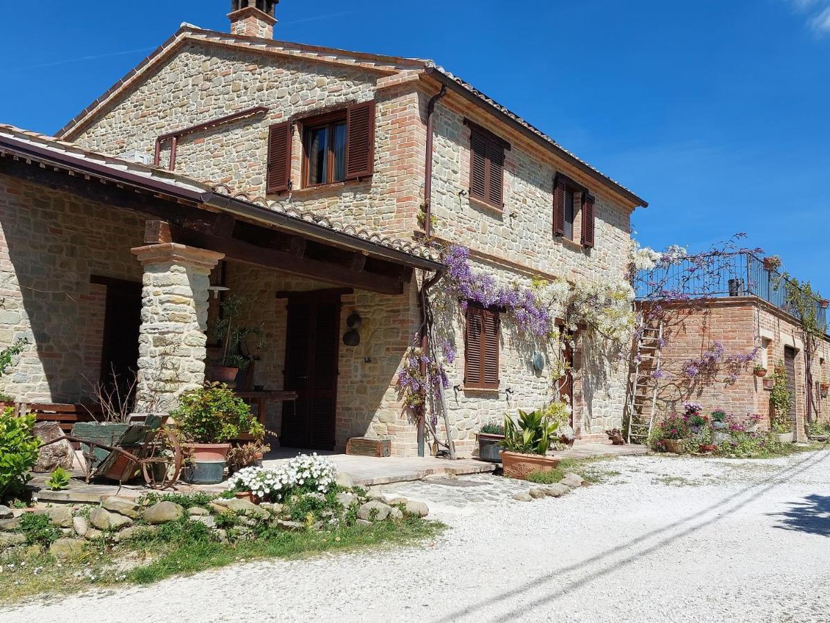 Casale San Martino Agriturismo Bio Sant'Angelo in Pontano ภายนอก รูปภาพ