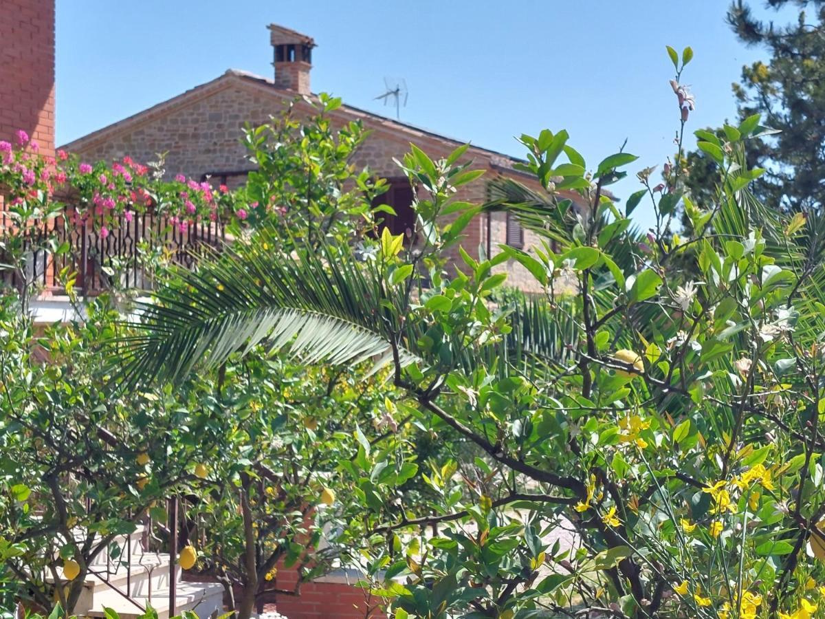 Casale San Martino Agriturismo Bio Sant'Angelo in Pontano ภายนอก รูปภาพ