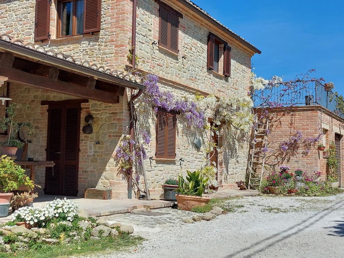 Casale San Martino Agriturismo Bio Sant'Angelo in Pontano ภายนอก รูปภาพ