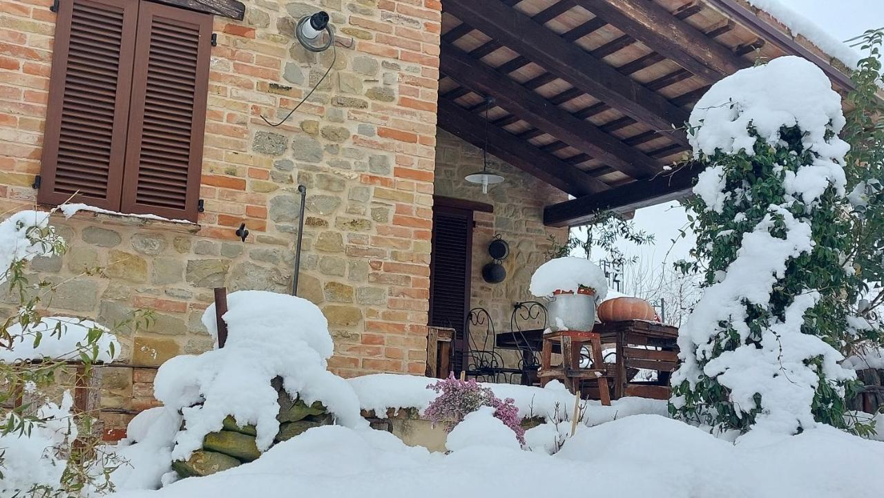 Casale San Martino Agriturismo Bio Sant'Angelo in Pontano ภายนอก รูปภาพ